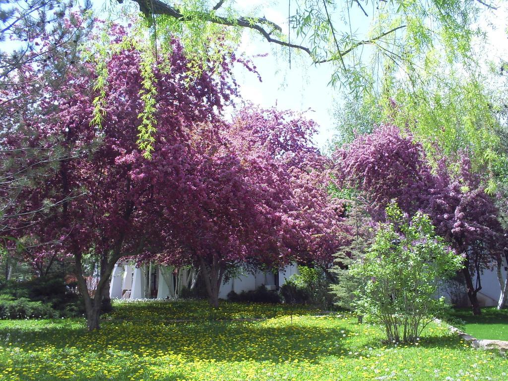 Agacli Hotel Aksaray Exterior foto